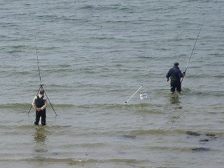 Shore Fishing