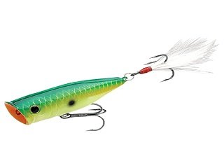 Topwater Poppers for Bass - LiveOutdoors