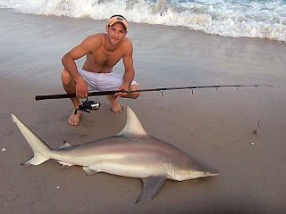 How to Catch Sharks From Shore - LiveOutdoors