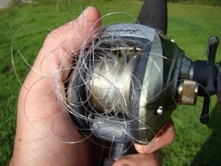 Common Causes of Line Tangles and How to Prevent Them - LiveOutdoors