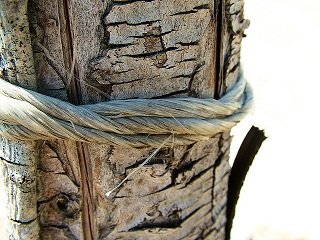 tree rope