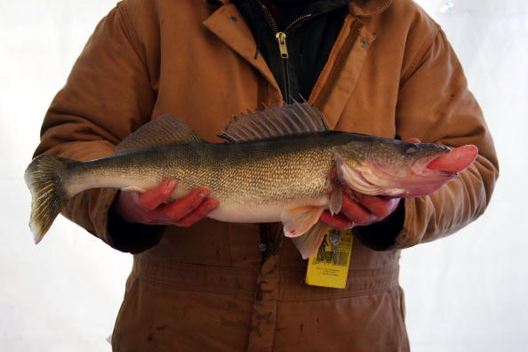 Minnesota Lake Boasts World's Biggest Ice Fishing Competition