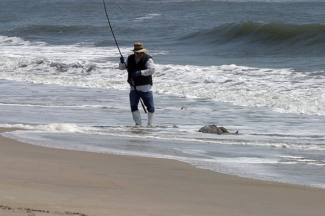 surf fishing