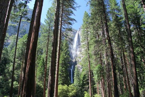 5 Waterfalls for a Spring Hike