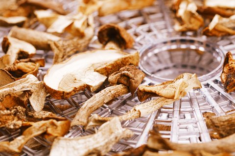 mushrooms dried