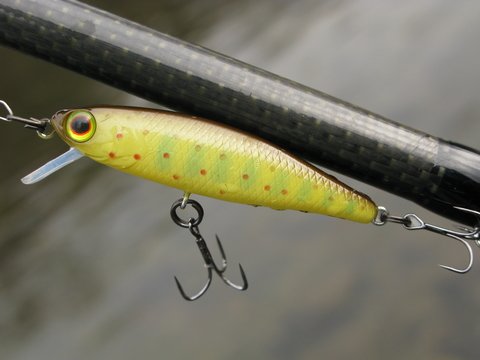 How to Choose the Right Freshwater Lure
