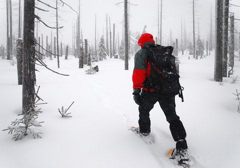 man goes through the woods on snowshoes