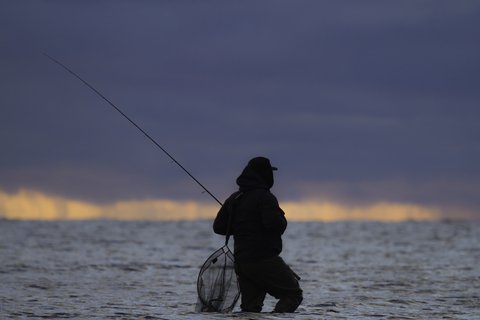 fisherman wading