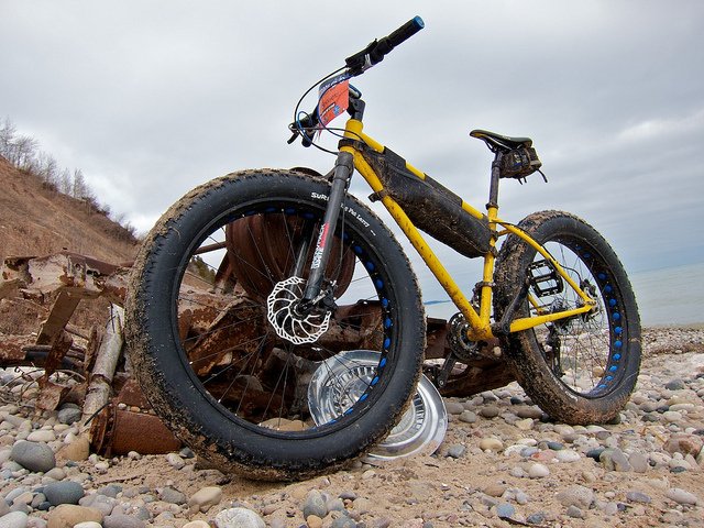 Nashbar big discount ol fat bike