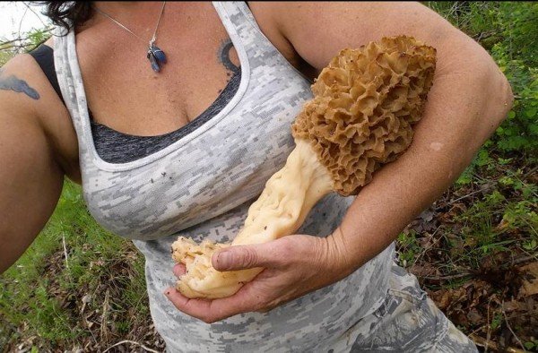 world biggest morel mushroom