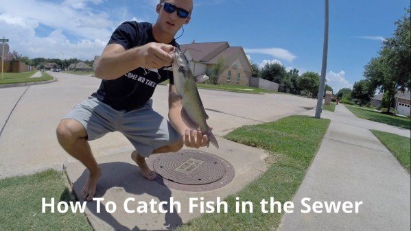 How to Catch Fish in the Sewer - LiveOutdoors