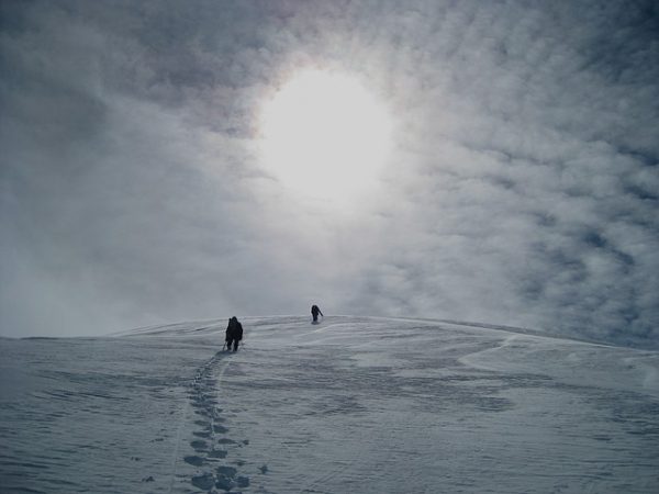 denali-national-park-80466_640